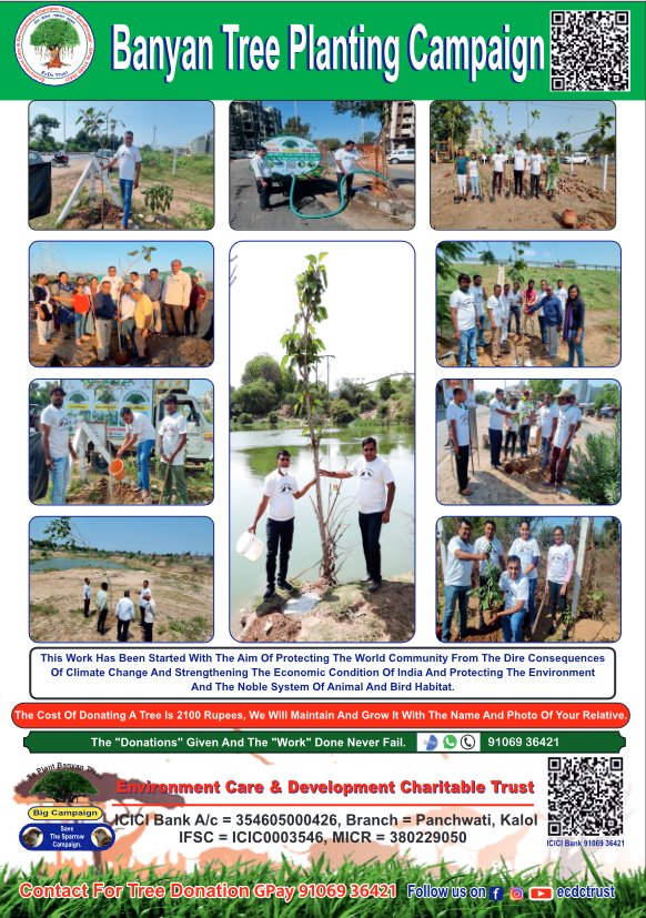 Banyan Tree Planting Campaign