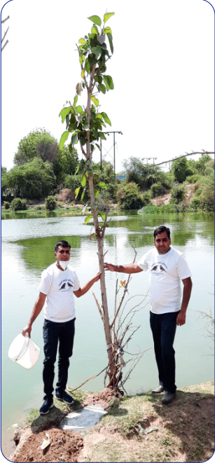 Banyan Tree Planting Campaign